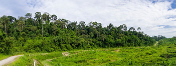 18 Western border of Tabin reserve