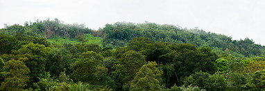 22 Tropical rainforest