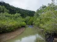 02 River and mangroves
