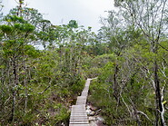 43 Wooden planks trail
