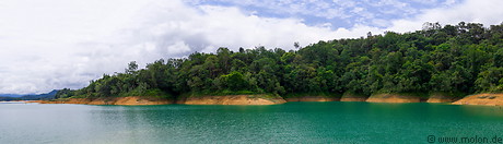 08 Rainforest around lake