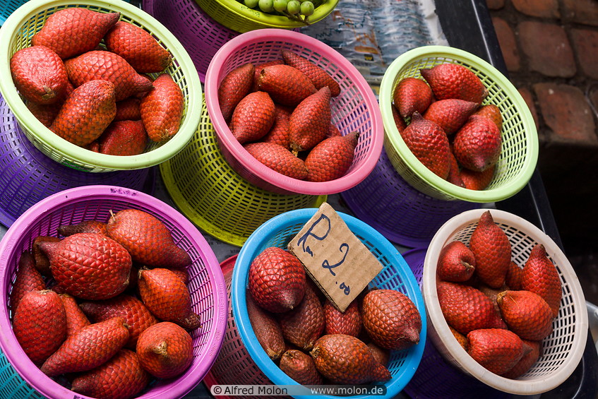 04 Buah Maram fruits
