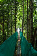 01 Canopy walkway