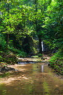 08 Forest stream