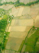 01 View of the Bario rice fields