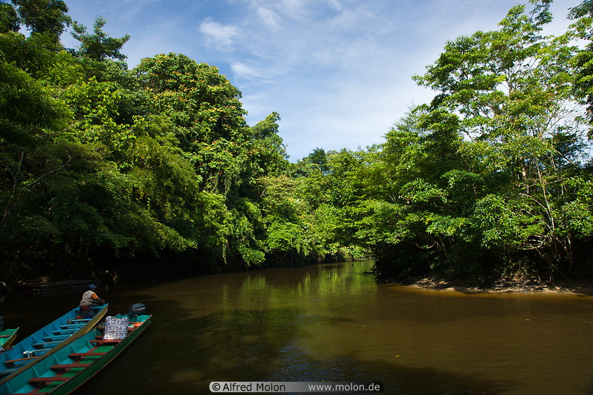 01 Melinau river near Mulu park HQ