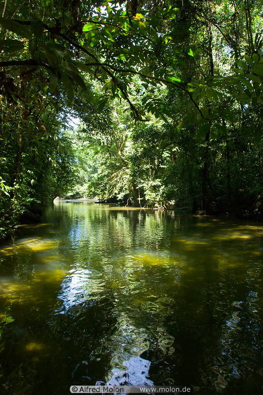 11 Melinau river