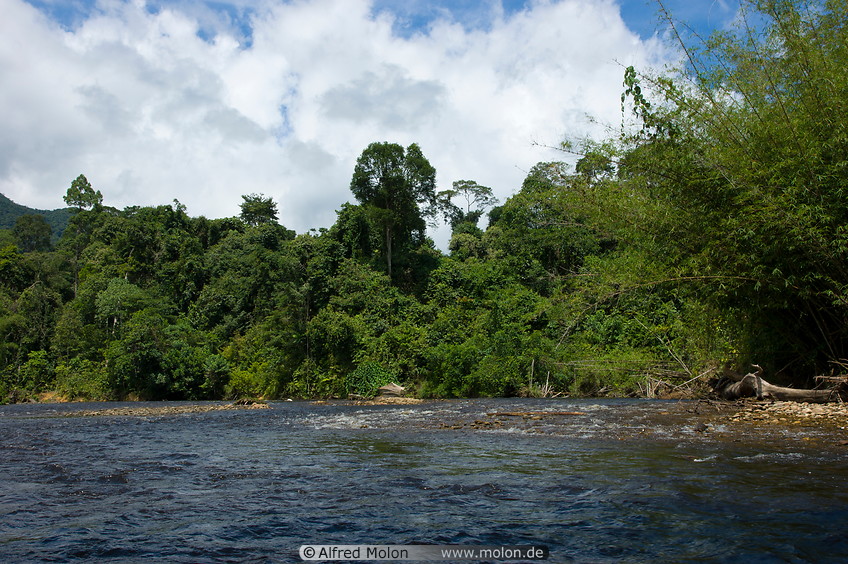 14 Melinau river