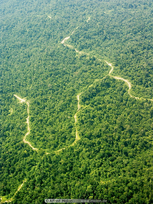 04 Tropical rainforest and logging roads