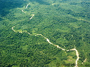 03 Tropical rainforest and logging roads