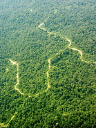 04 Tropical rainforest and logging roads