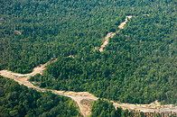 07 Tropical rainforest and logging roads