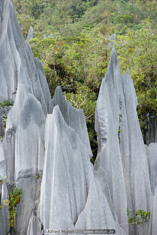 12 Limestone pinnacles