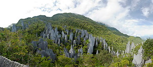 01 Panoramic view of the Pinnacles