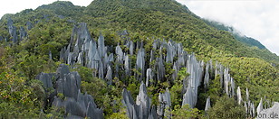 02 Panoramic view of the Pinnacles