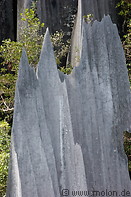 05 Limestone pinnacles