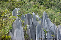 08 Limestone pinnacles