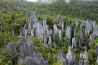 20 Limestone pinnacles
