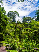 28 Gardens near Mulu park headquarters