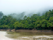 01 Tropical rainforest shrouded in mist