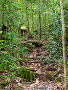 03 Forest trail