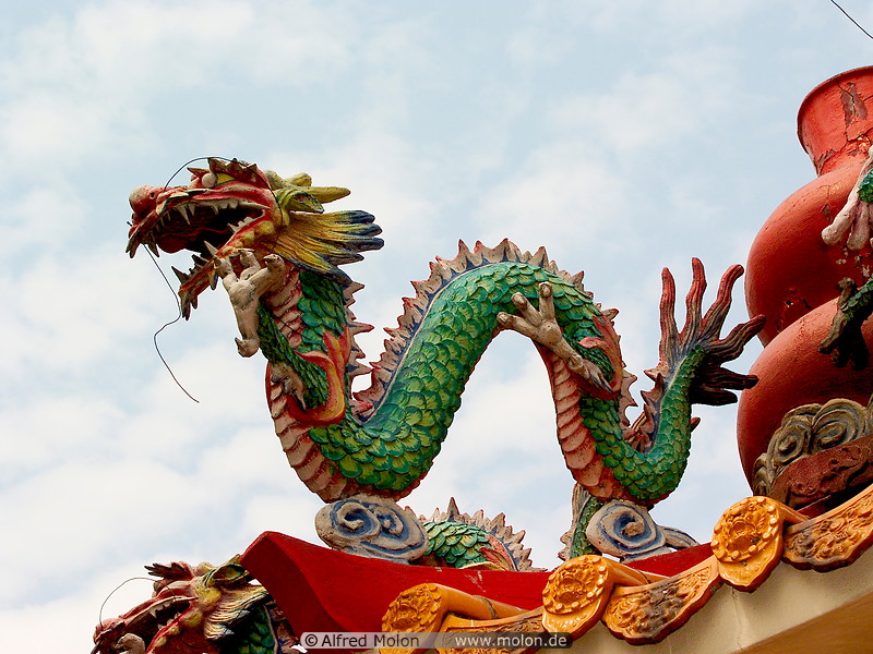 17 Chinese dragon