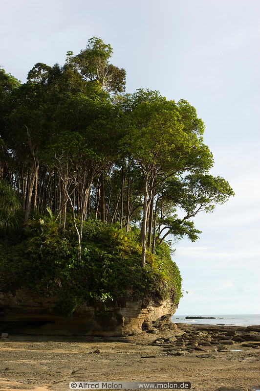 18 Rainforest on rocky outcrop