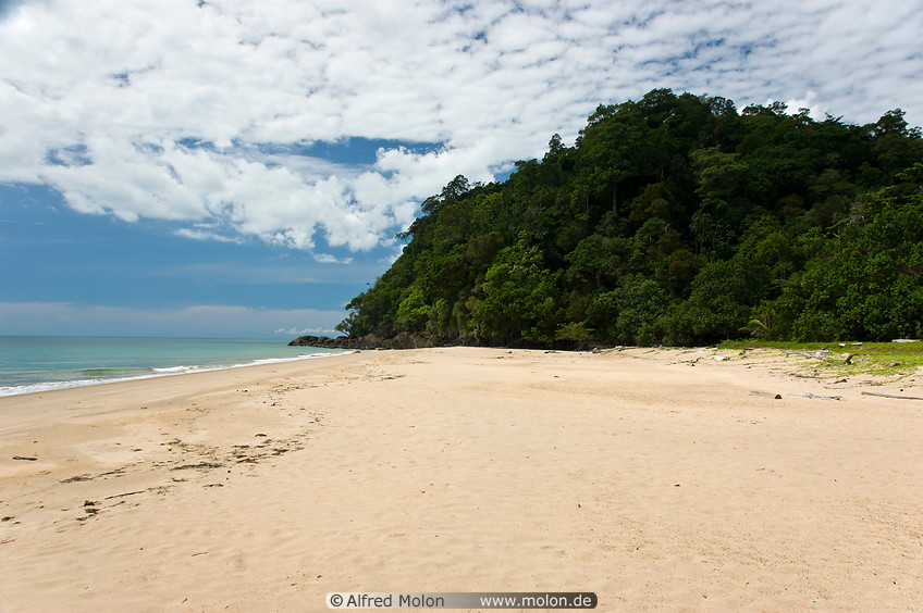 04 Main beach and rainforest