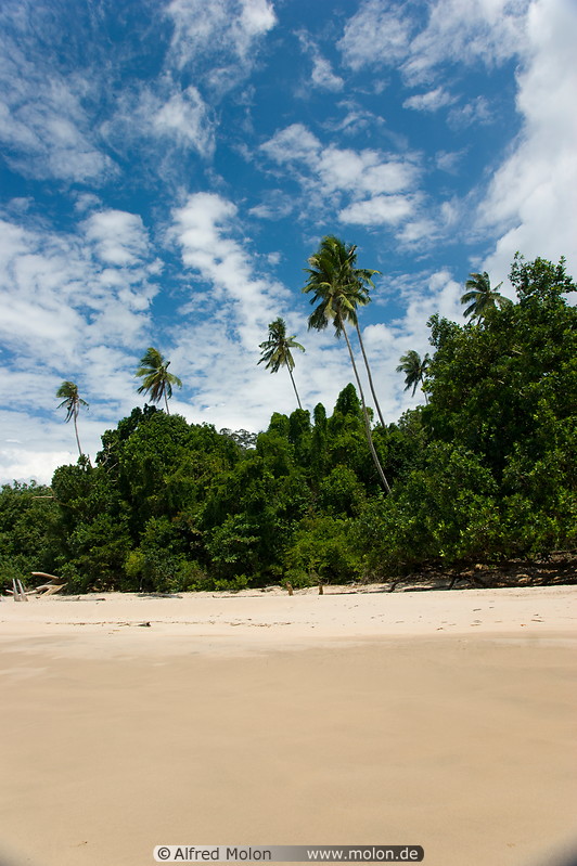 14 Main beach and rainforest