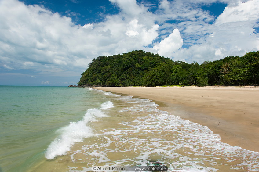 24 Main beach and rainforest
