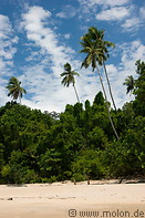 15 Main beach and rainforest