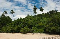 17 Main beach and rainforest