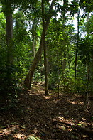 07 Pasir Antu Laut trail