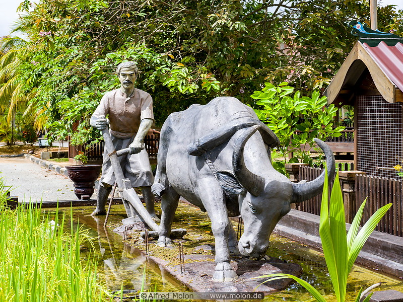 59 Statue of rice farmer and buffalo