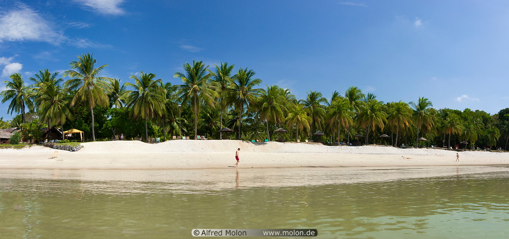 10 Coconut palms lined beach