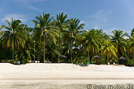 08 Coconut palms lined beach