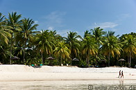 09 Coconut palms lined beach