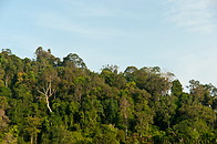 06 Mountaintop covered with jungle