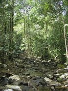 13 Jungle river above Telaga Tujuh waterfall