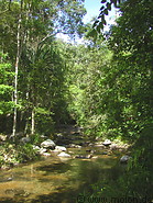 15 Jungle river above Telaga Tujuh waterfall