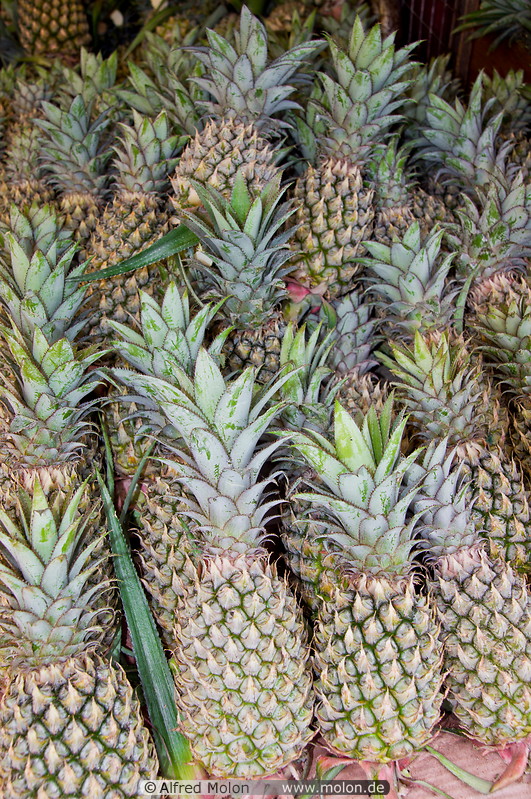 06 Pineapples
