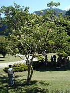 09 Botanical gardens