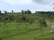 15 Putrajaya park