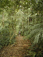 09 Jungle walk