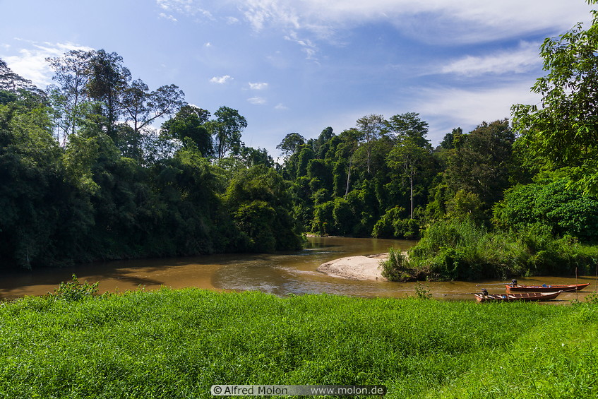 04 Muda river at Kuala Labua