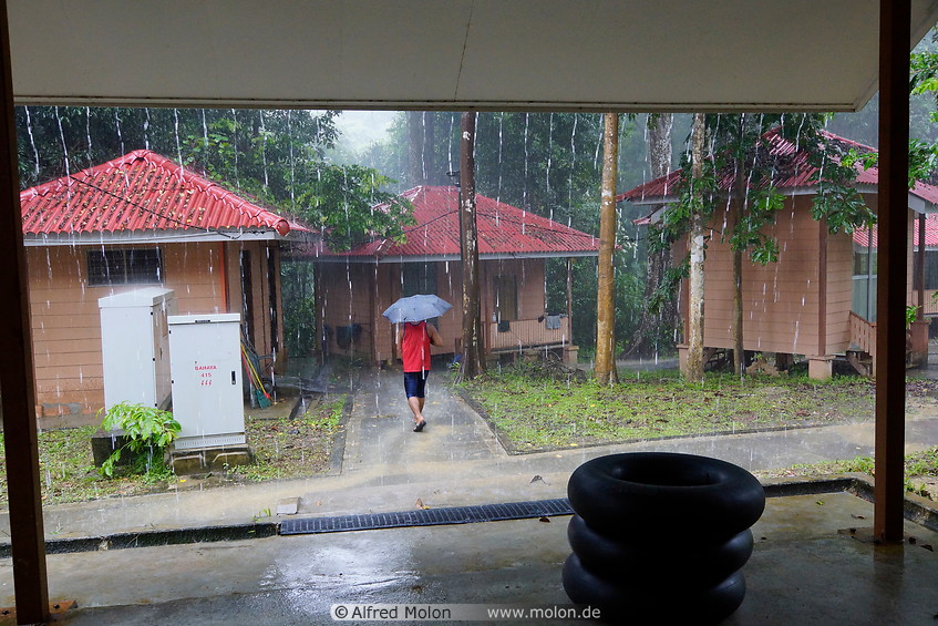 17 Rain in Kuala Labua camp