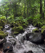 06 Panorama Sipyen Stream Rush Through the Rainforest