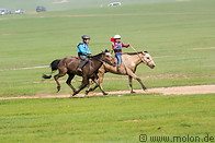 12 Horse race