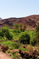 18 Red hills and vegetation