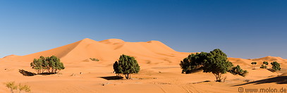 03 Erg Chebbi sand dunes
